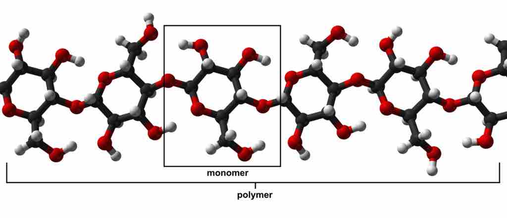 Monomers and polymers